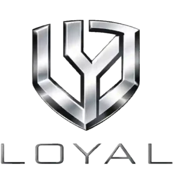 LOYAL EV - Leading Manufacturer of Heavy-Duty Electric Cargo and Passenger Tricycles